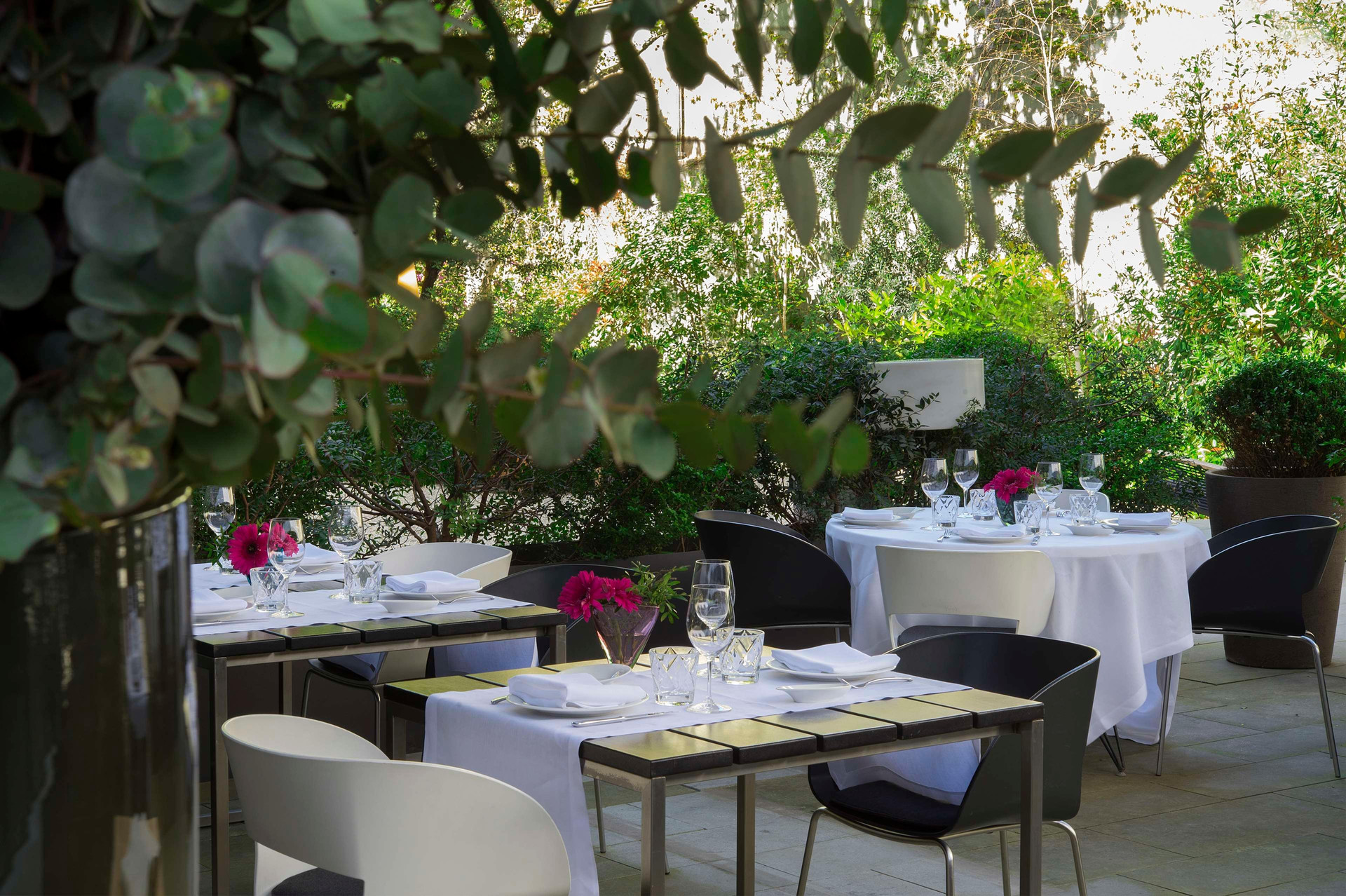 Restaurant Alma Barcelona GL