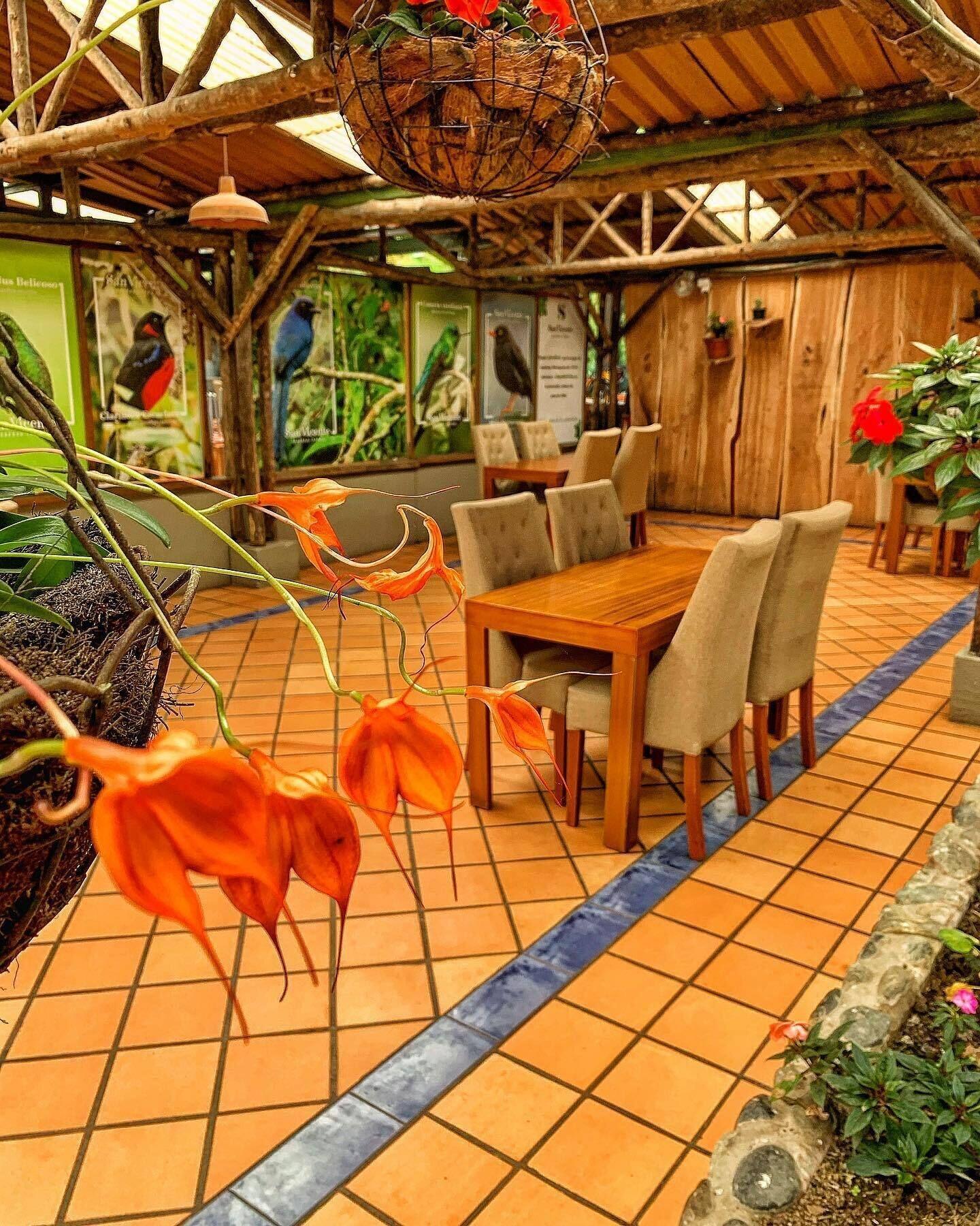 Restaurant Hotel Termales San Vicente