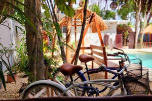 Alojamiento - Lam Jungle Deluxe House