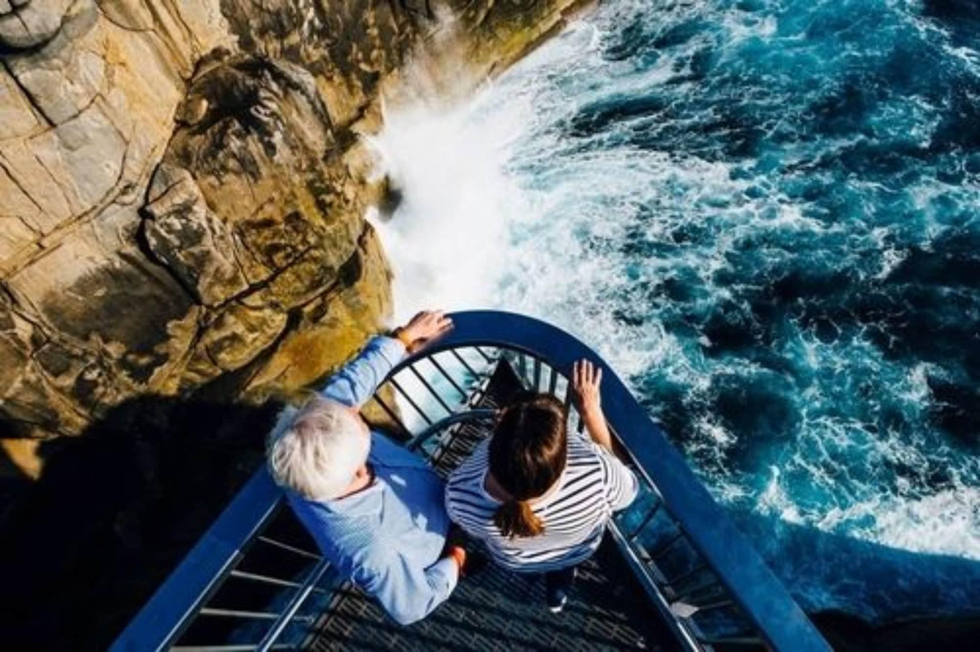 Playa Pelicans Albany