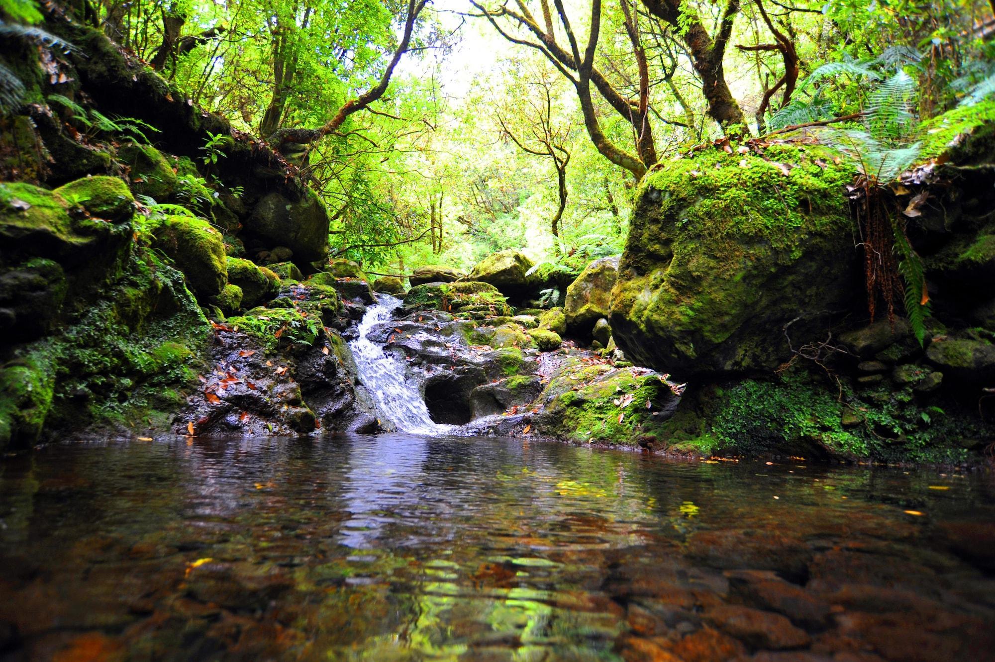 Vista Exterior Casa do Ribeiro Frio