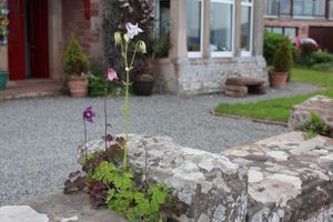 Alojamiento - Tigh Na Mara