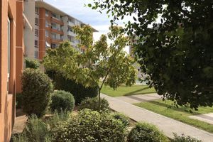 Alquiler Vacacional - Henriquez vials in Barrio Puerta del Mar.