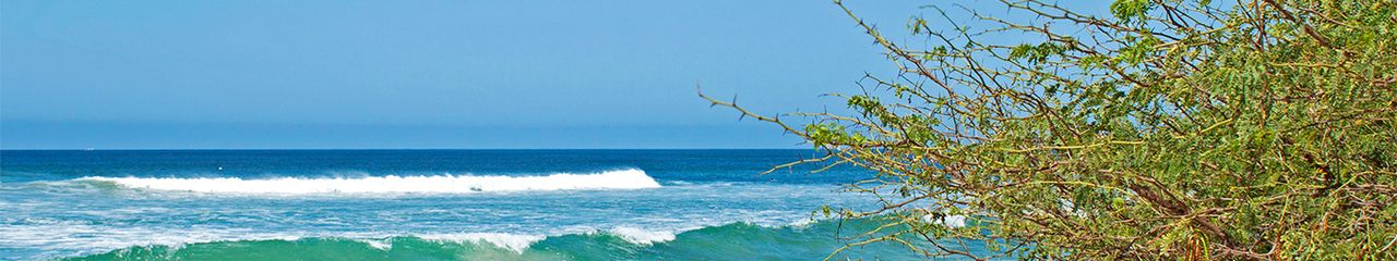 Hoteles en Punta de mita