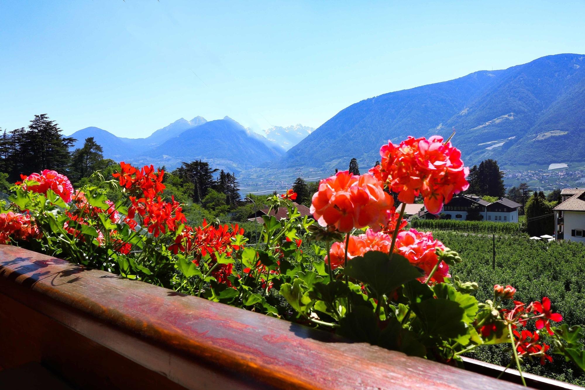 Equipamiento de Habitación Guesthouse Pension Grafenstein