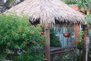 Alojamiento - The Desoto - Oceanview Inn
