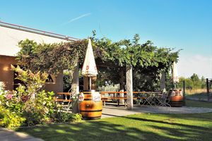 Alojamiento - Jugendherberge Romanshorn - Hostel