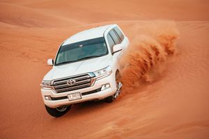 Actividad - Safari por el desierto de Abu Dabi