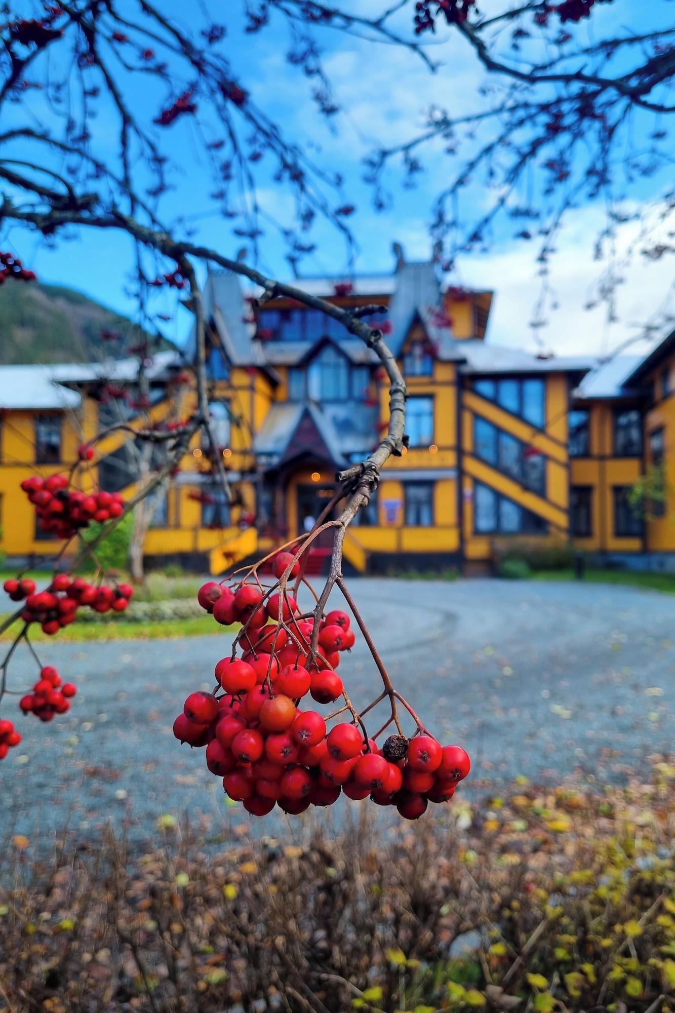 Vista Exterior Dalen Hotel