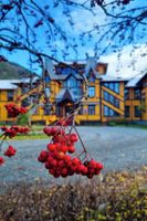 Alojamiento - Dalen Hotel