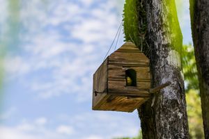 Alojamiento - Paraíso Ecológico Pousada & SPA
