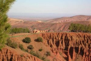 Actividad - Visite el Hermoso Valle de Ourika