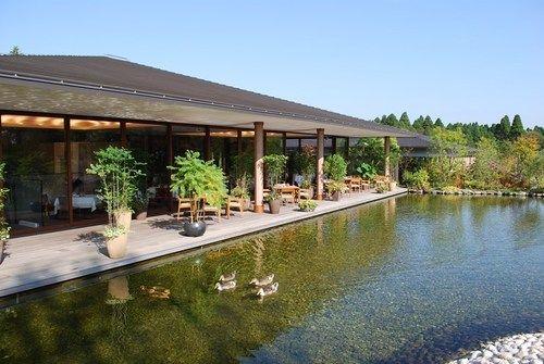 Vista Exterior Koyaru Forest Garden