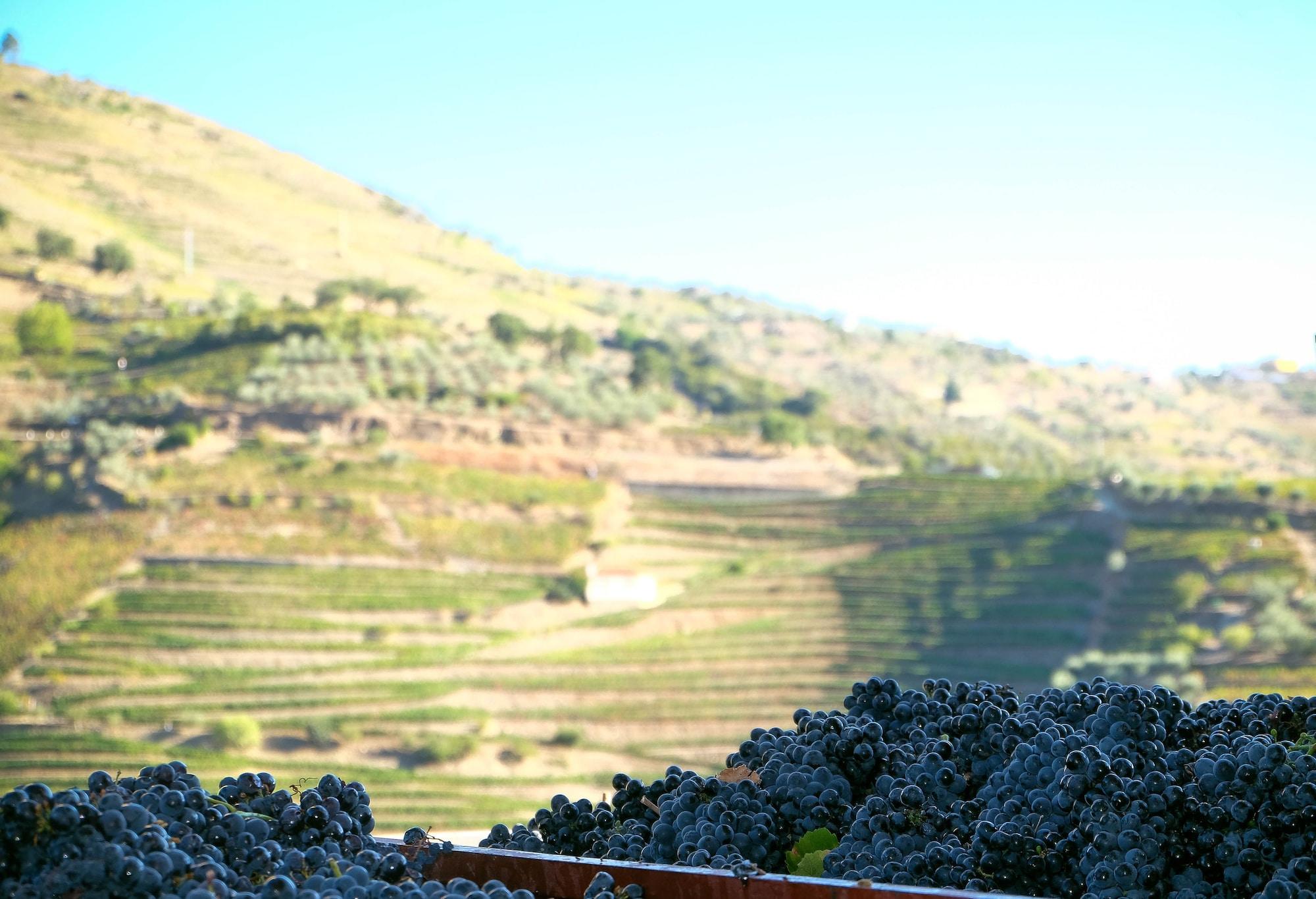 Varios Hotel Rural Quinta do Silval