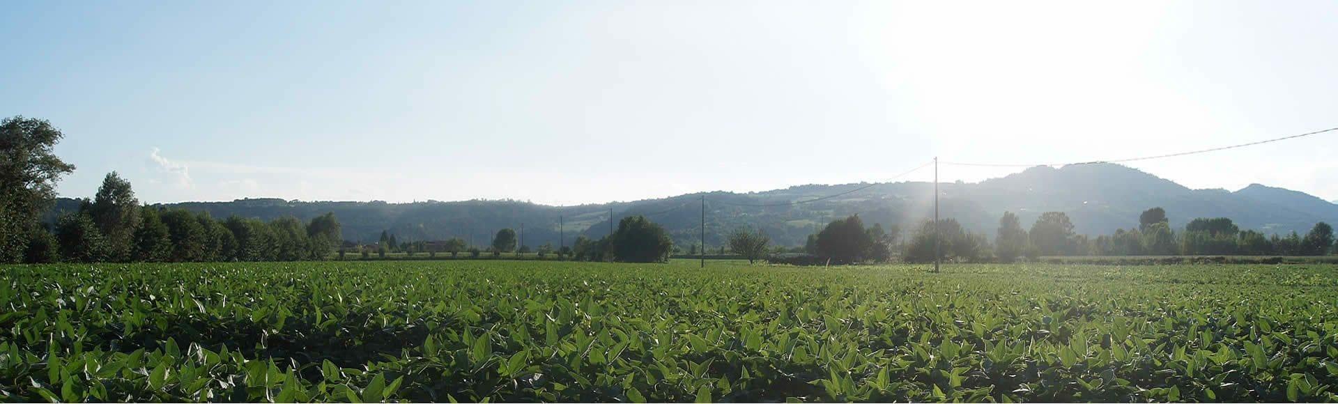 Varios Agriturismo alla Corte