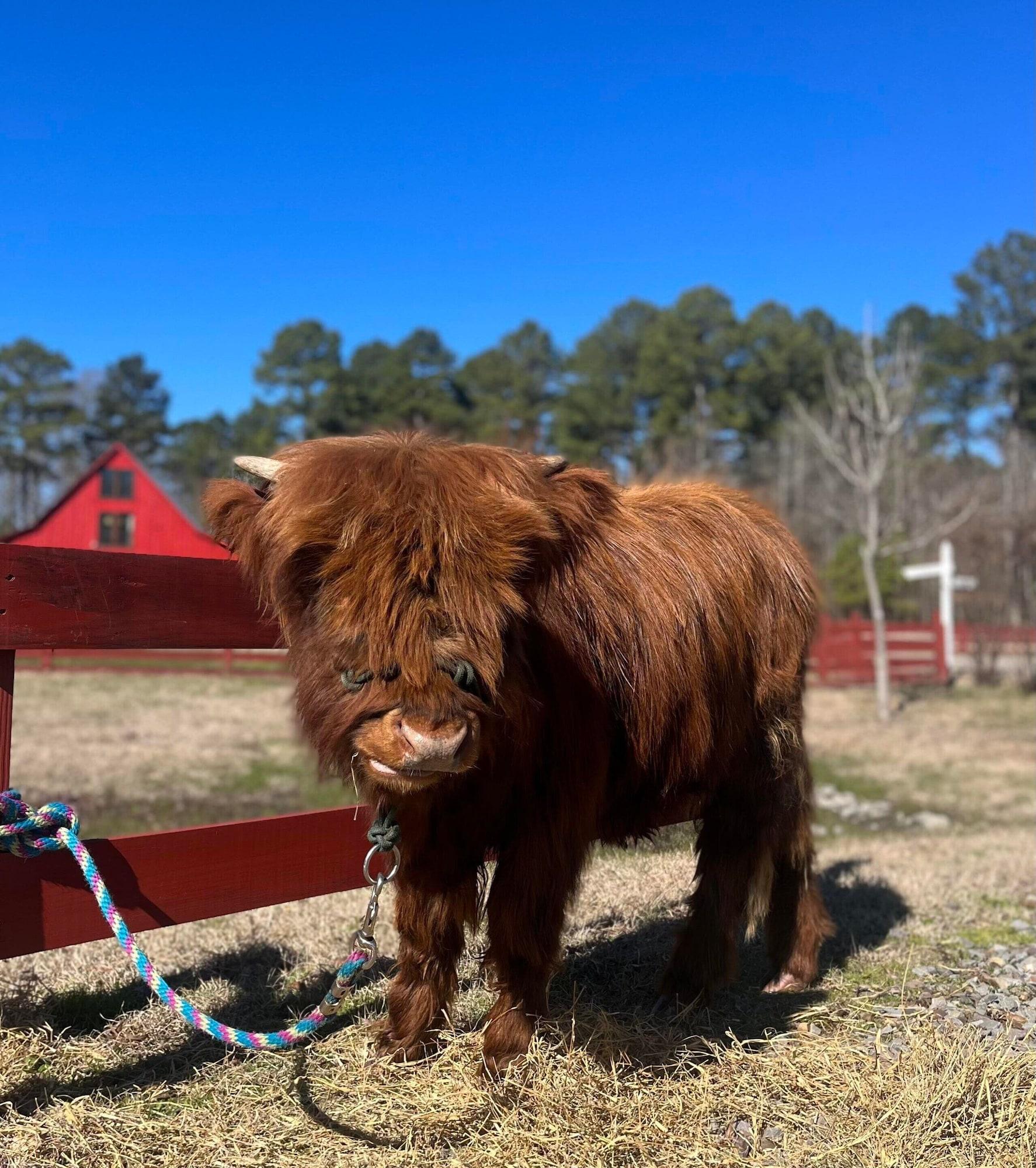 Vista Exterior Coulter Farmstead
