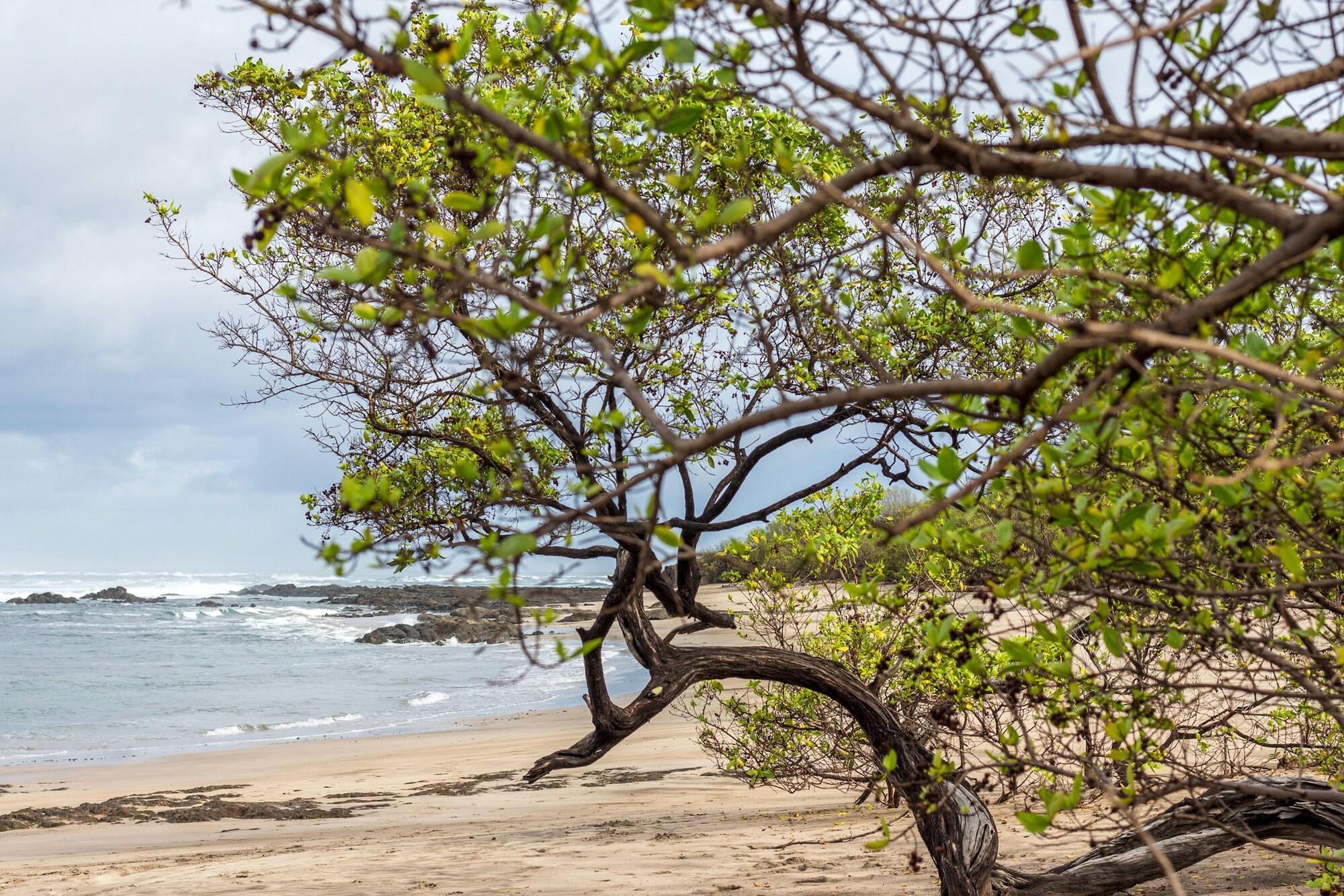 Playa Latica Lodge