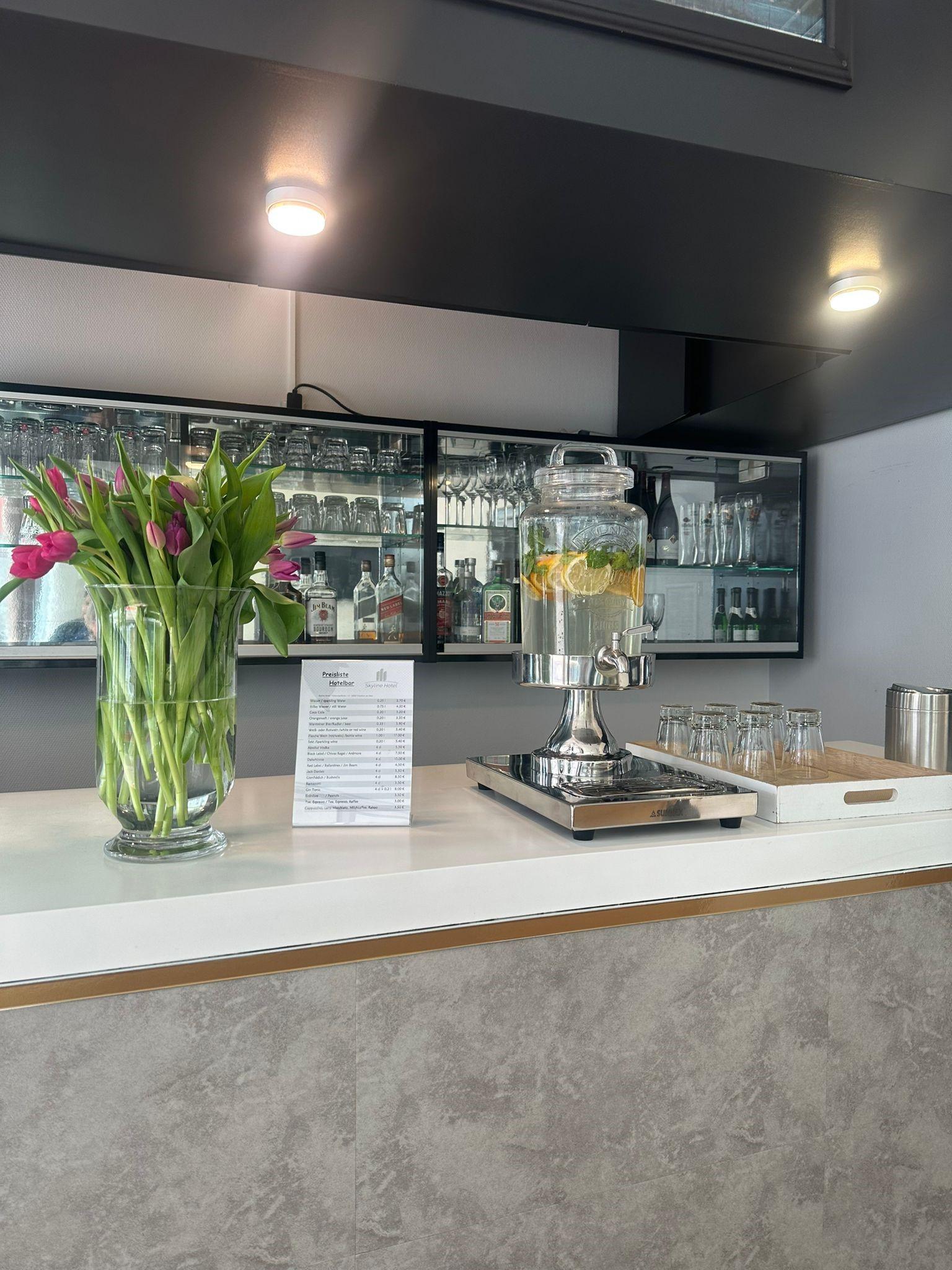 Bar/Salón Skyline Hotel