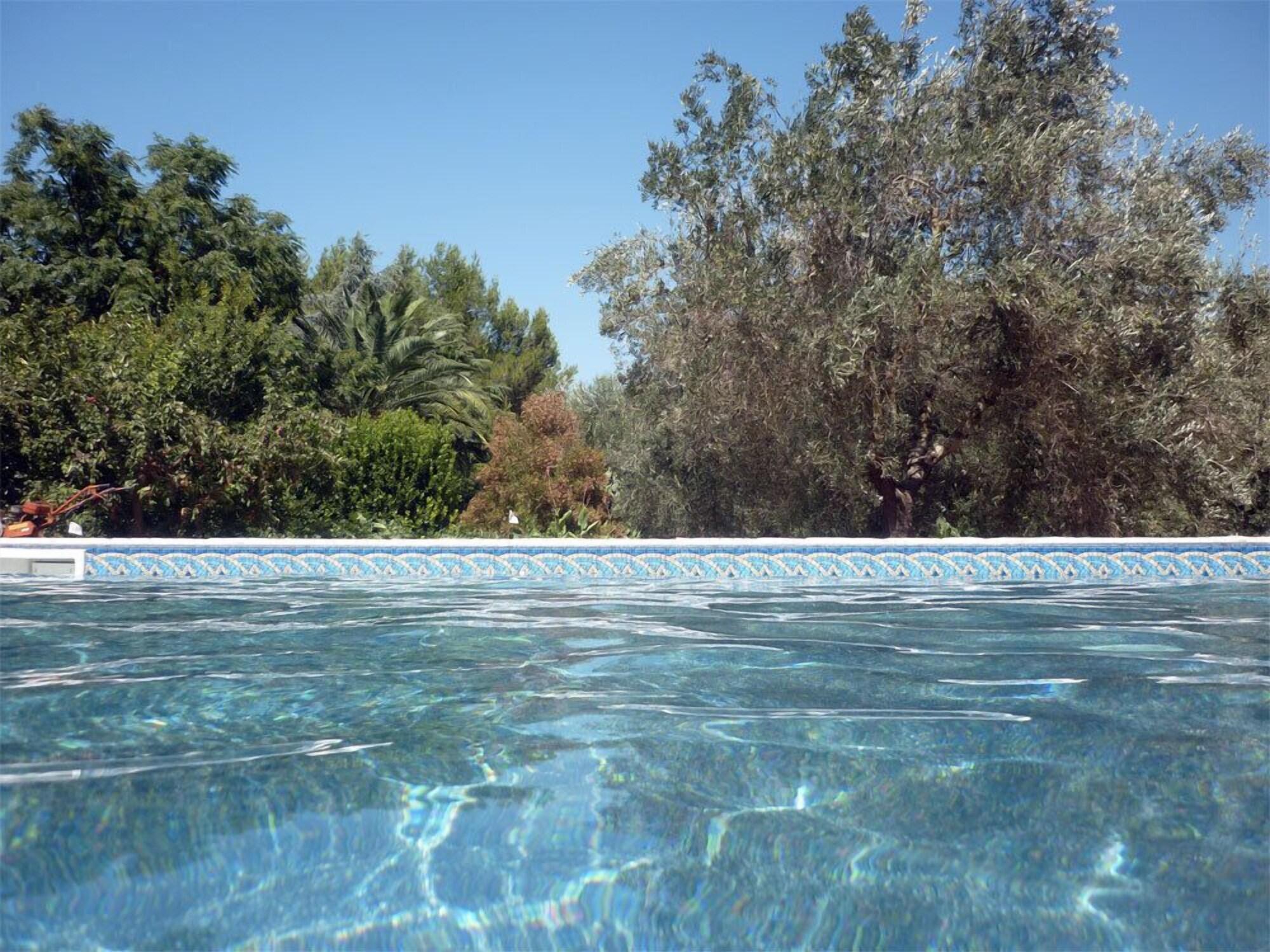 Vista Piscina Villa Giuliana