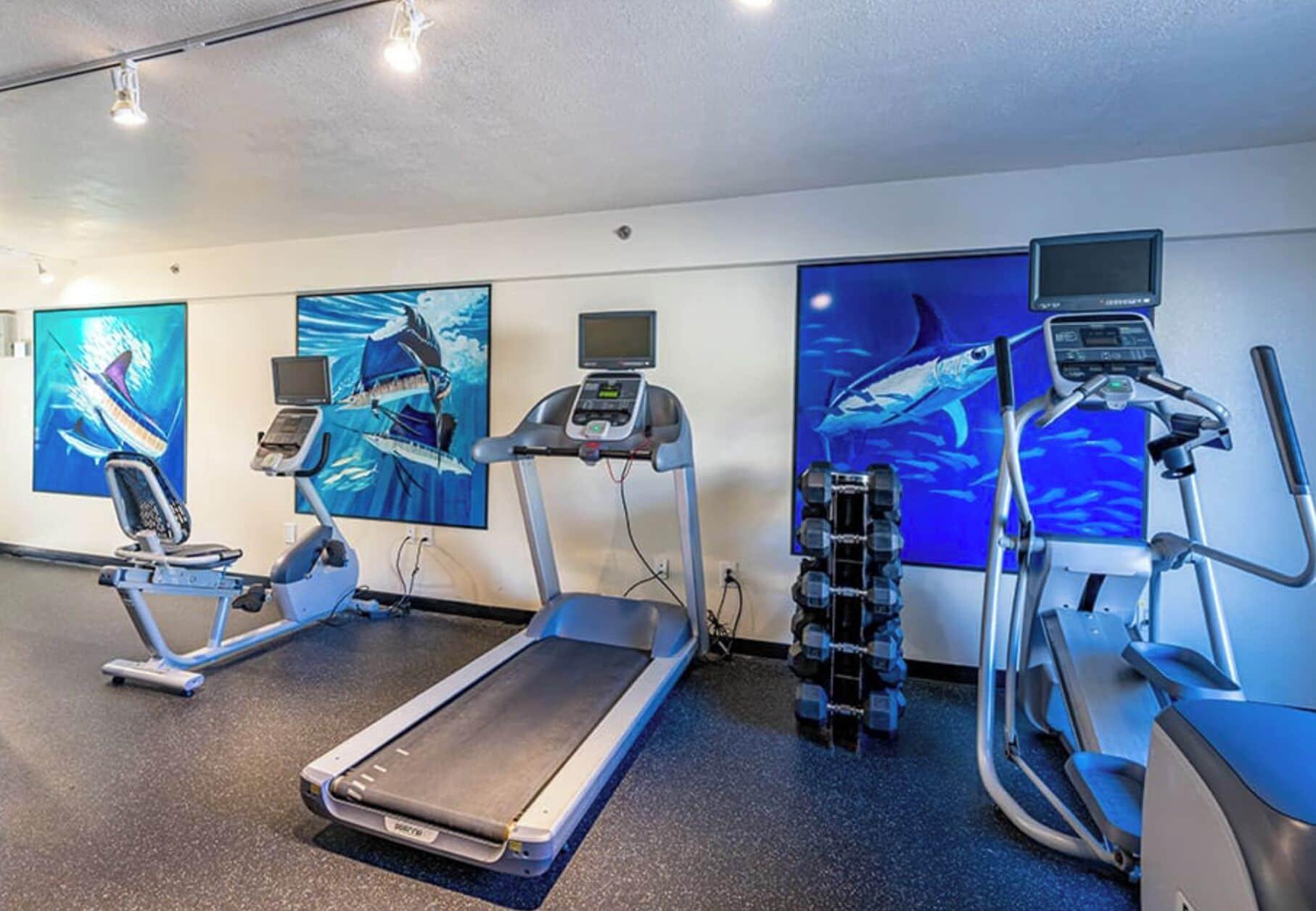 Gimnasio Guy Harvey Resort on St Augustine Beach