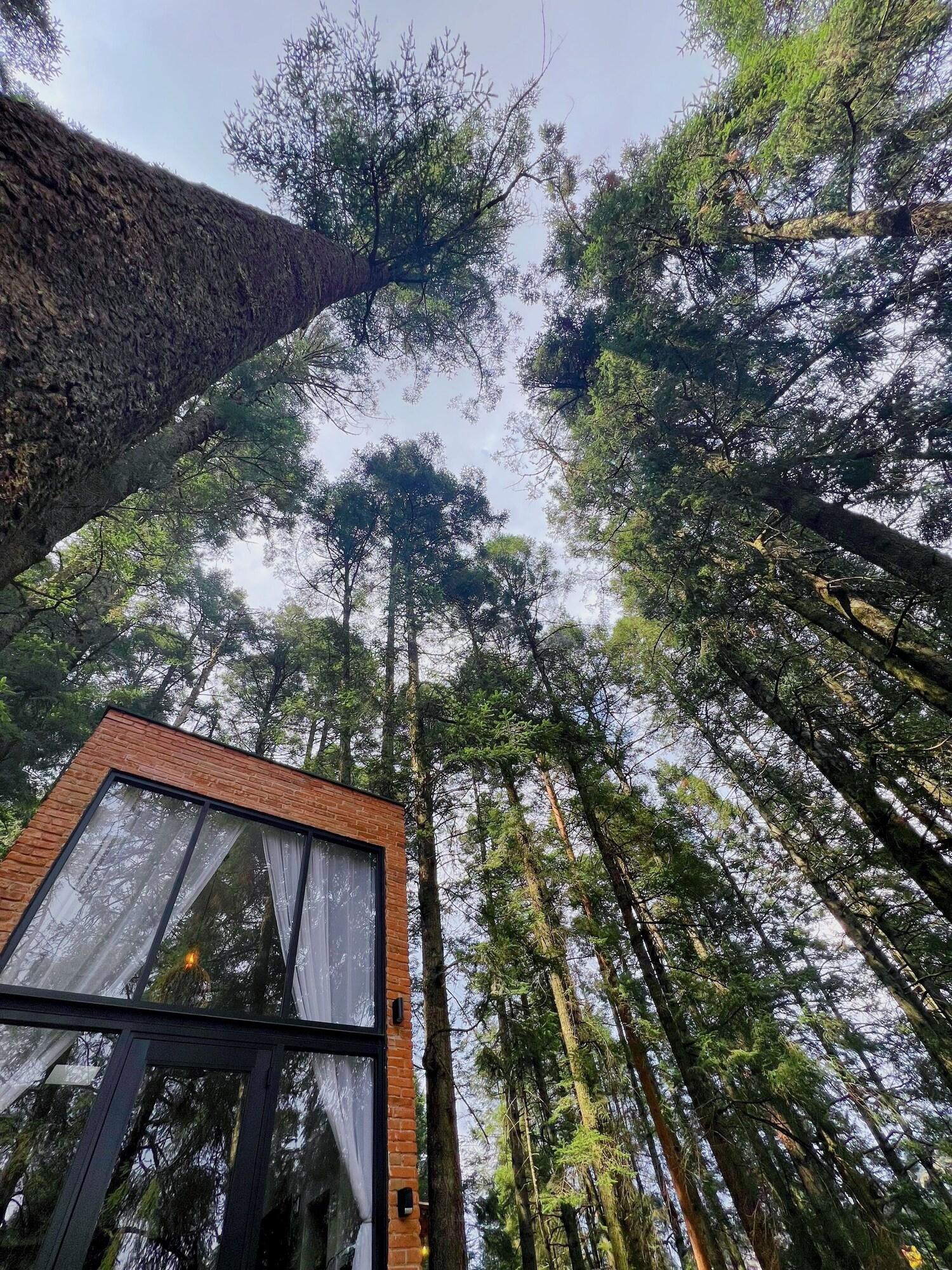 Vista Exterior TinyChillHouse