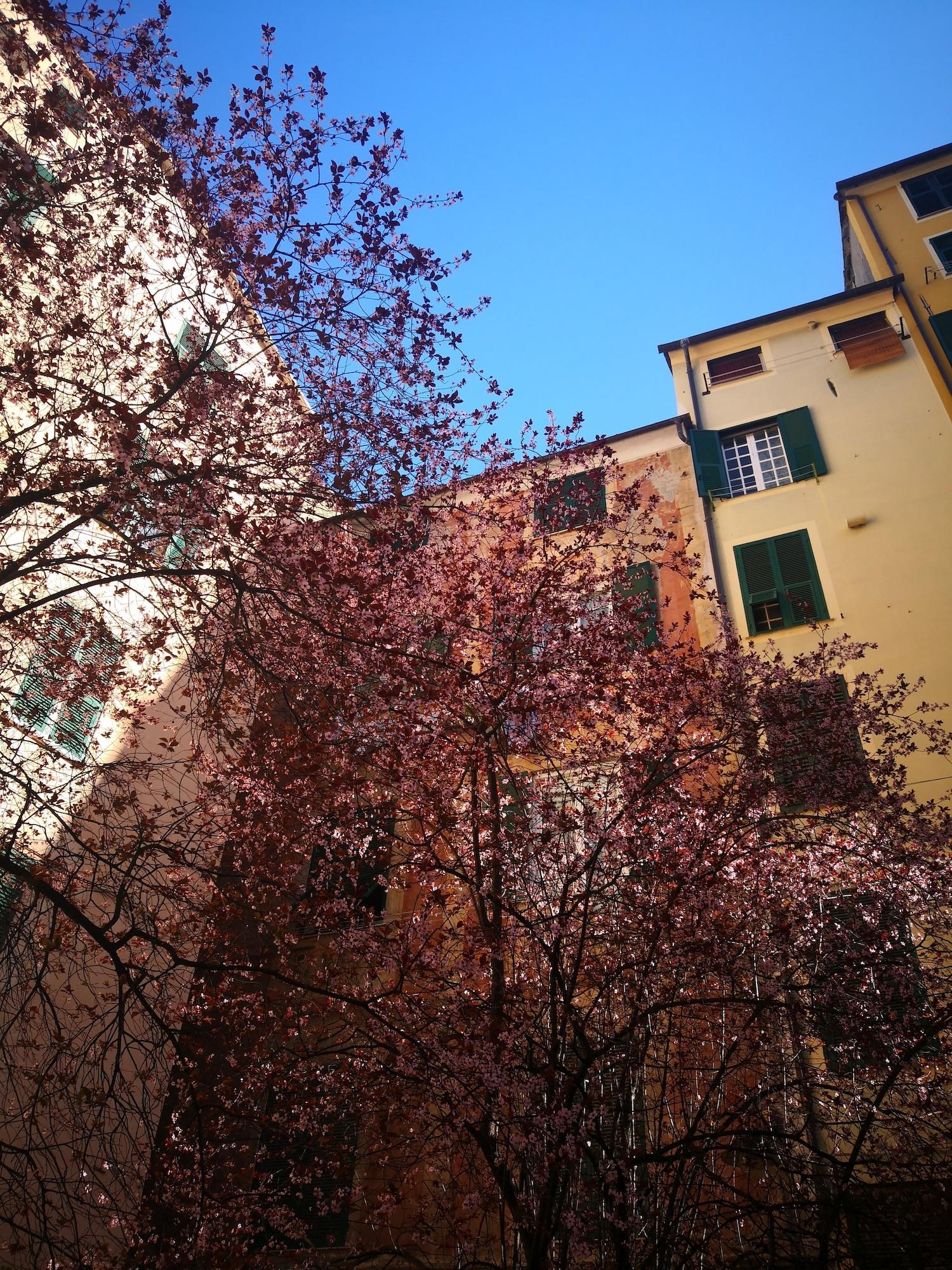 Vista Exterior B&B Lavagna Uno