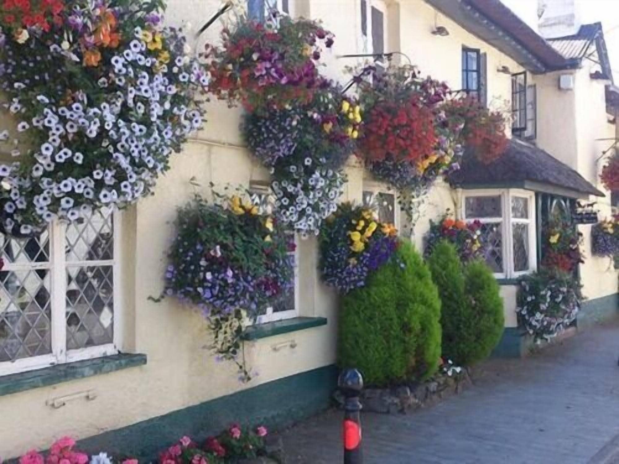 Varios Kings Arms Inn
