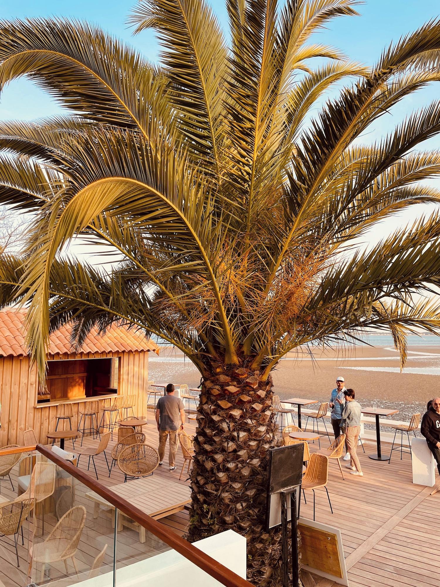 Vista Exterior L'Albatros