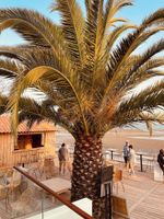 Alojamiento - L'Albatros