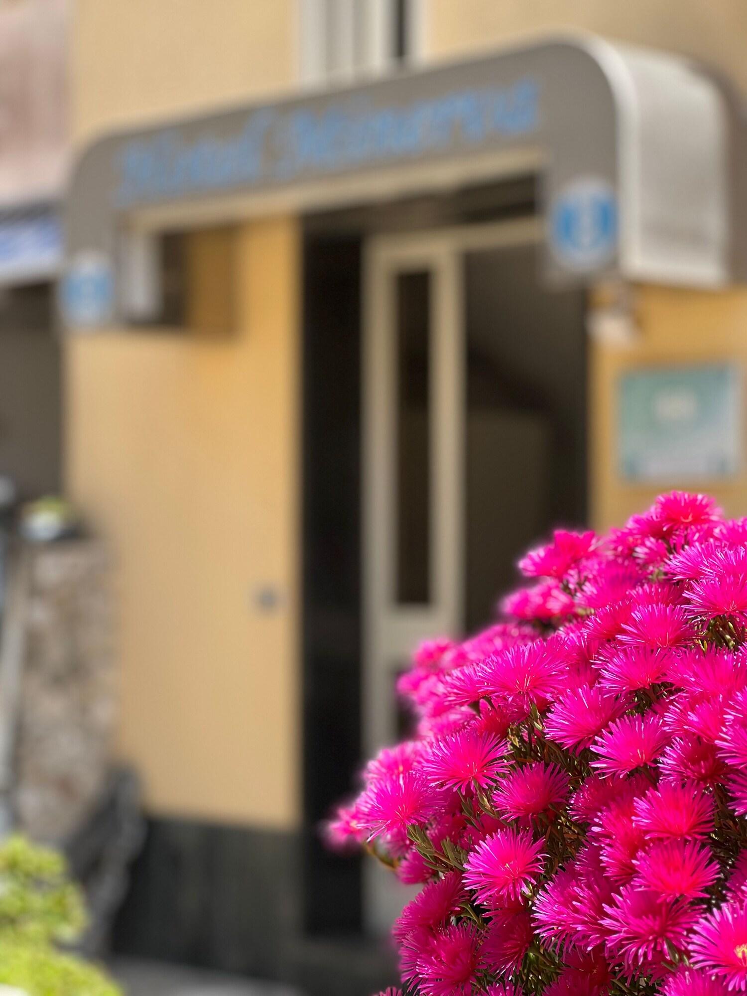 Vista Exterior Hotel Minerva