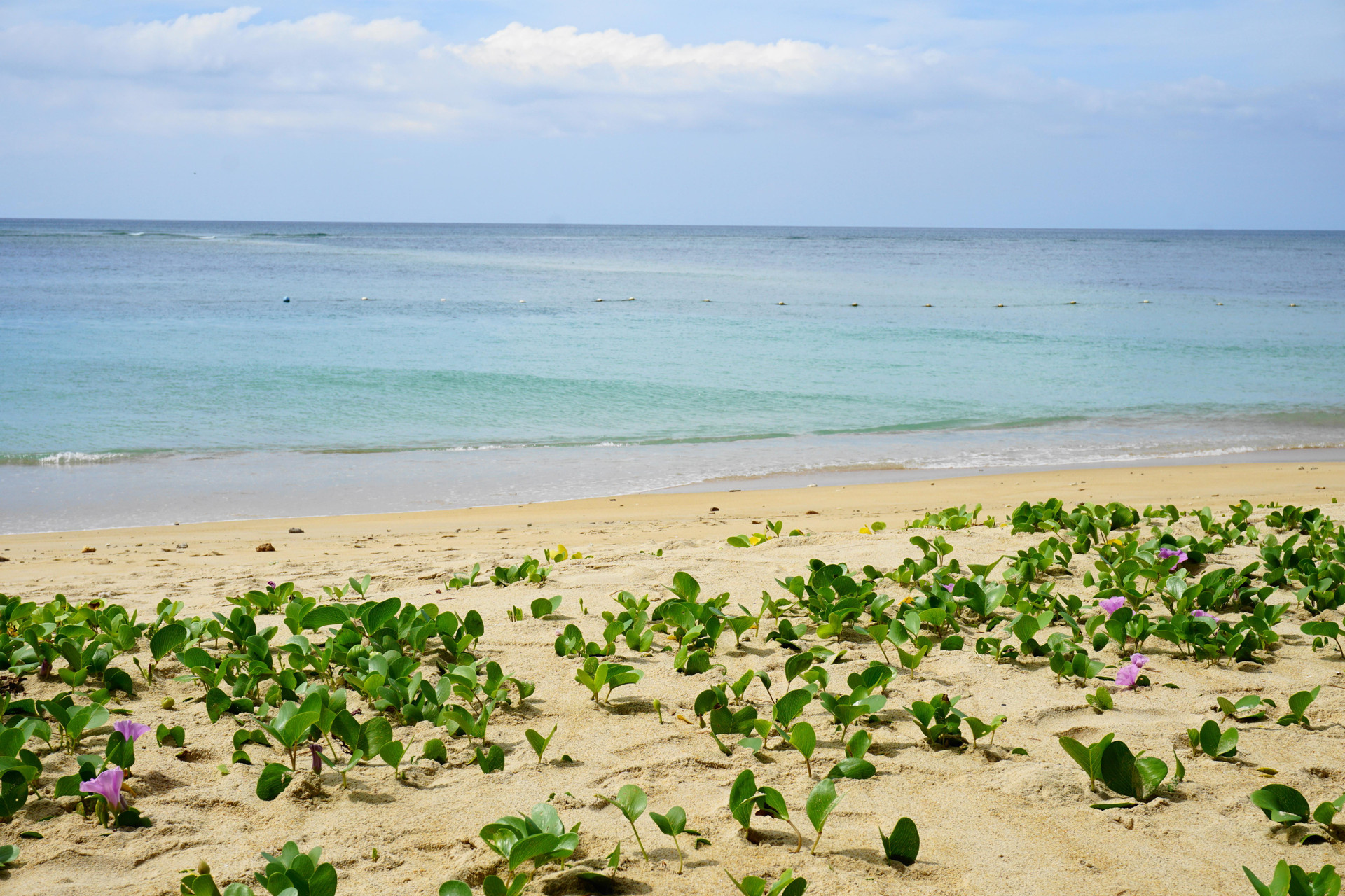 Playa Dewa Phuket Resort & Villas
