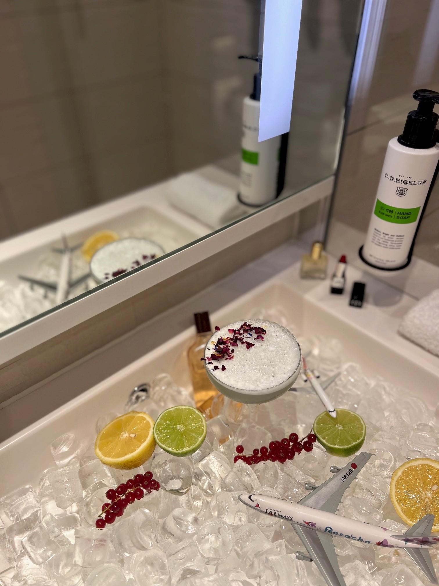 Instalaciones Recreativas Pullman Paris Roissy-CDG Airport