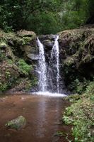 Alojamiento - Hotel Campestre Daarlu