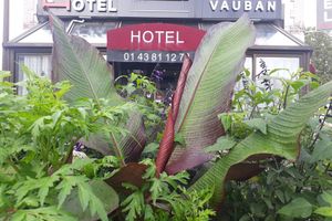 Alojamiento - HOTEL ARISTIDE VAUBAN