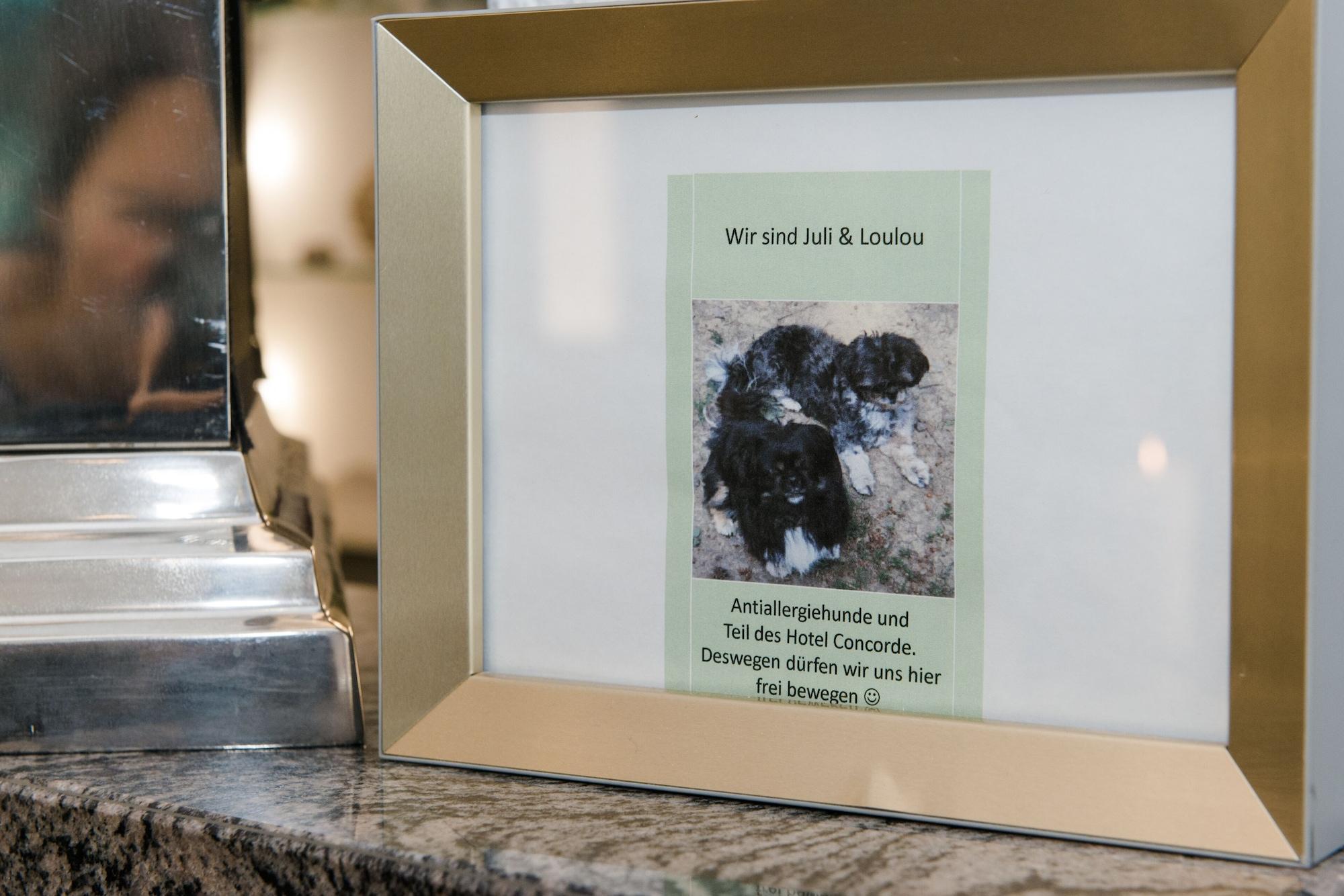 Comodidades del Alojamiento Hotel Concorde