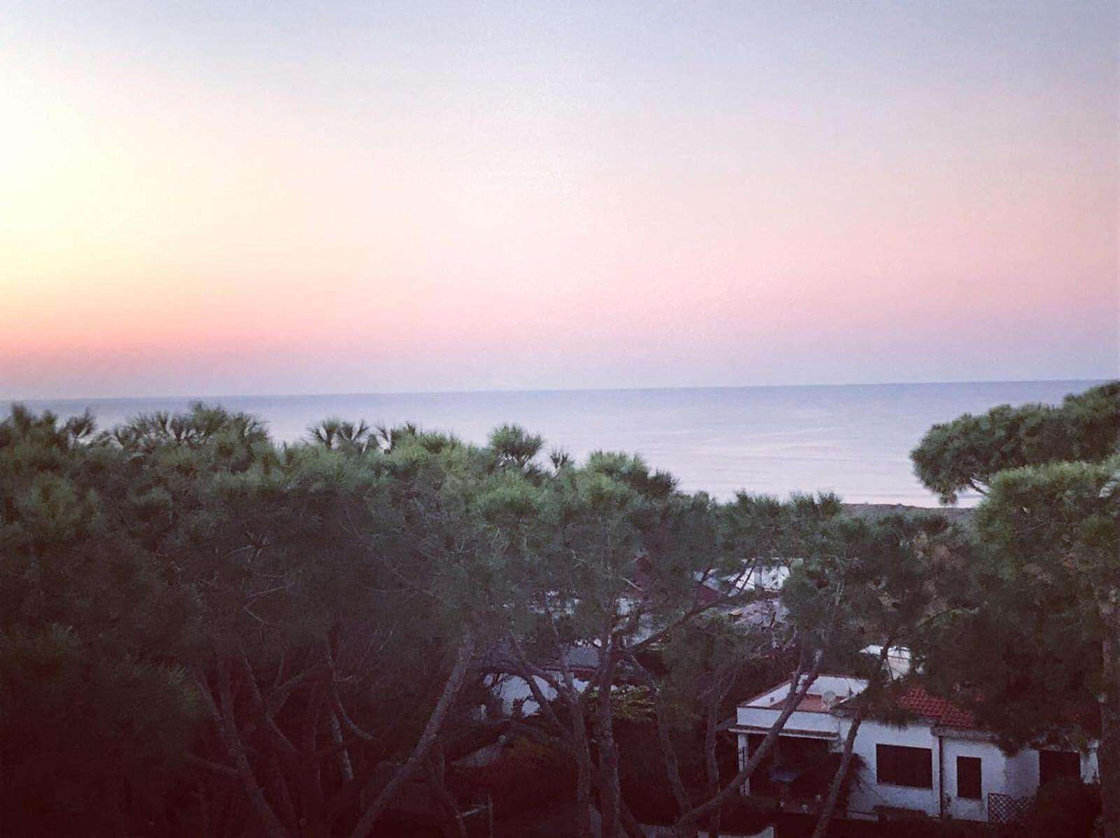Playa Park Hotel