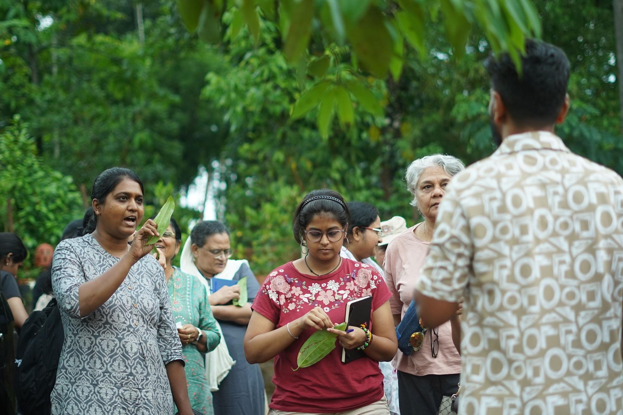 Instalaciones Recreativas Kings Flora Luxury Organic FarmResort