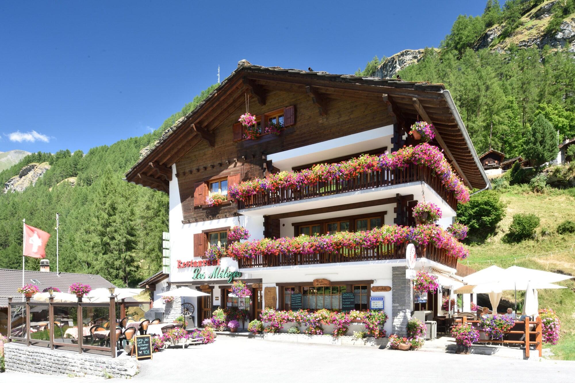 Varios Hôtel Les Mélèzes