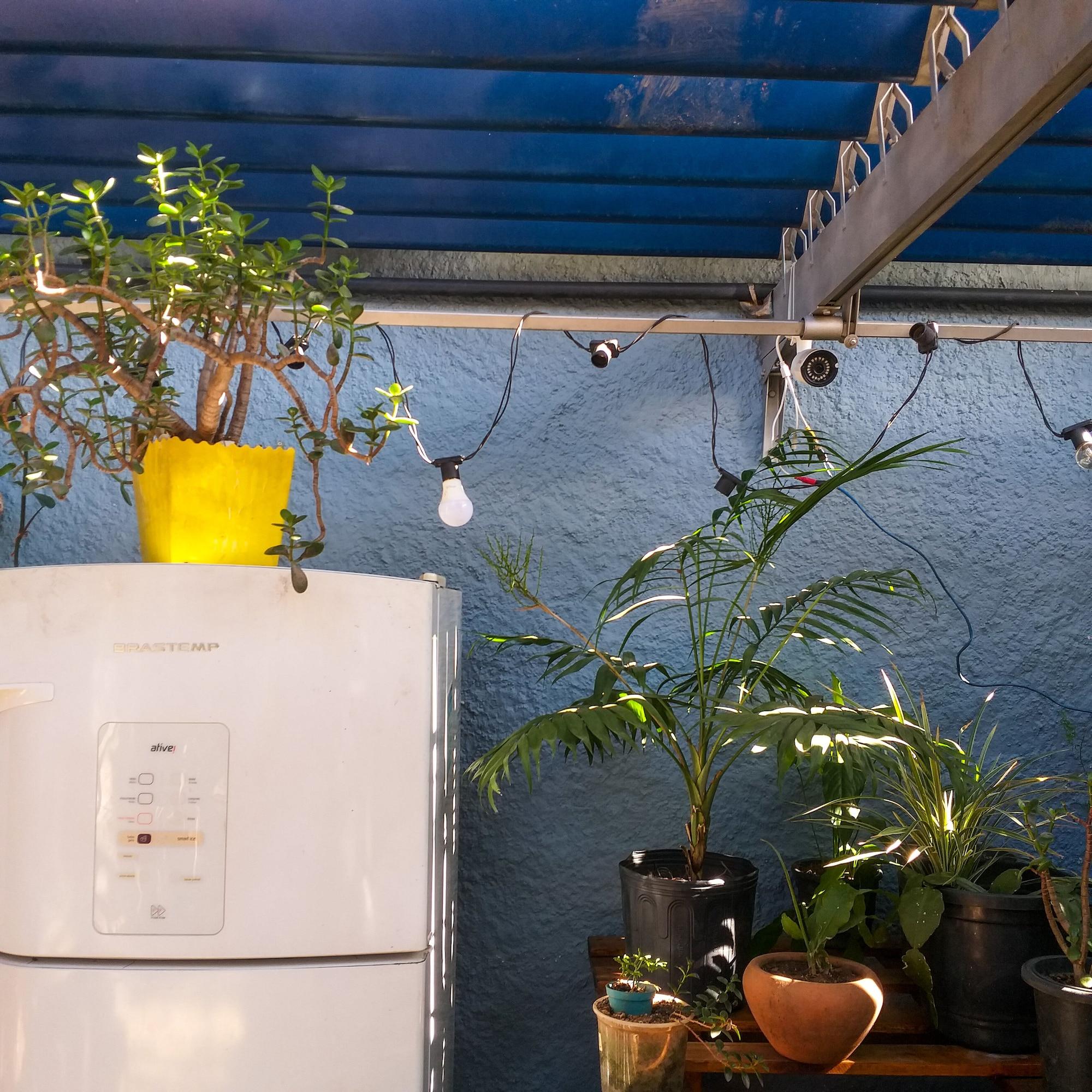 Restaurant Micasa Hostel