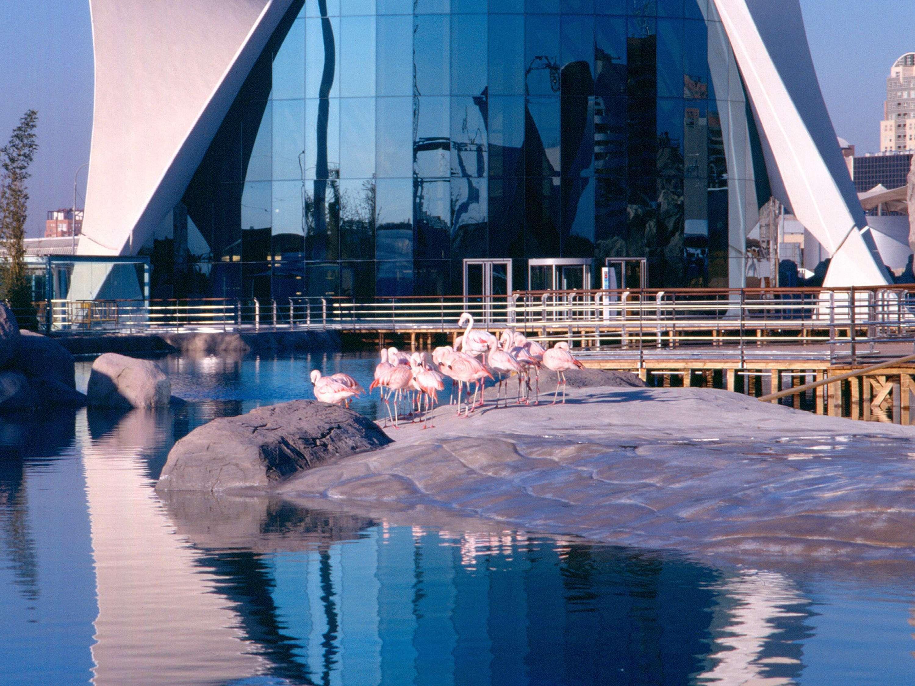 Instalaciones Recreativas Ibis Budget Valencia Centro Puerto