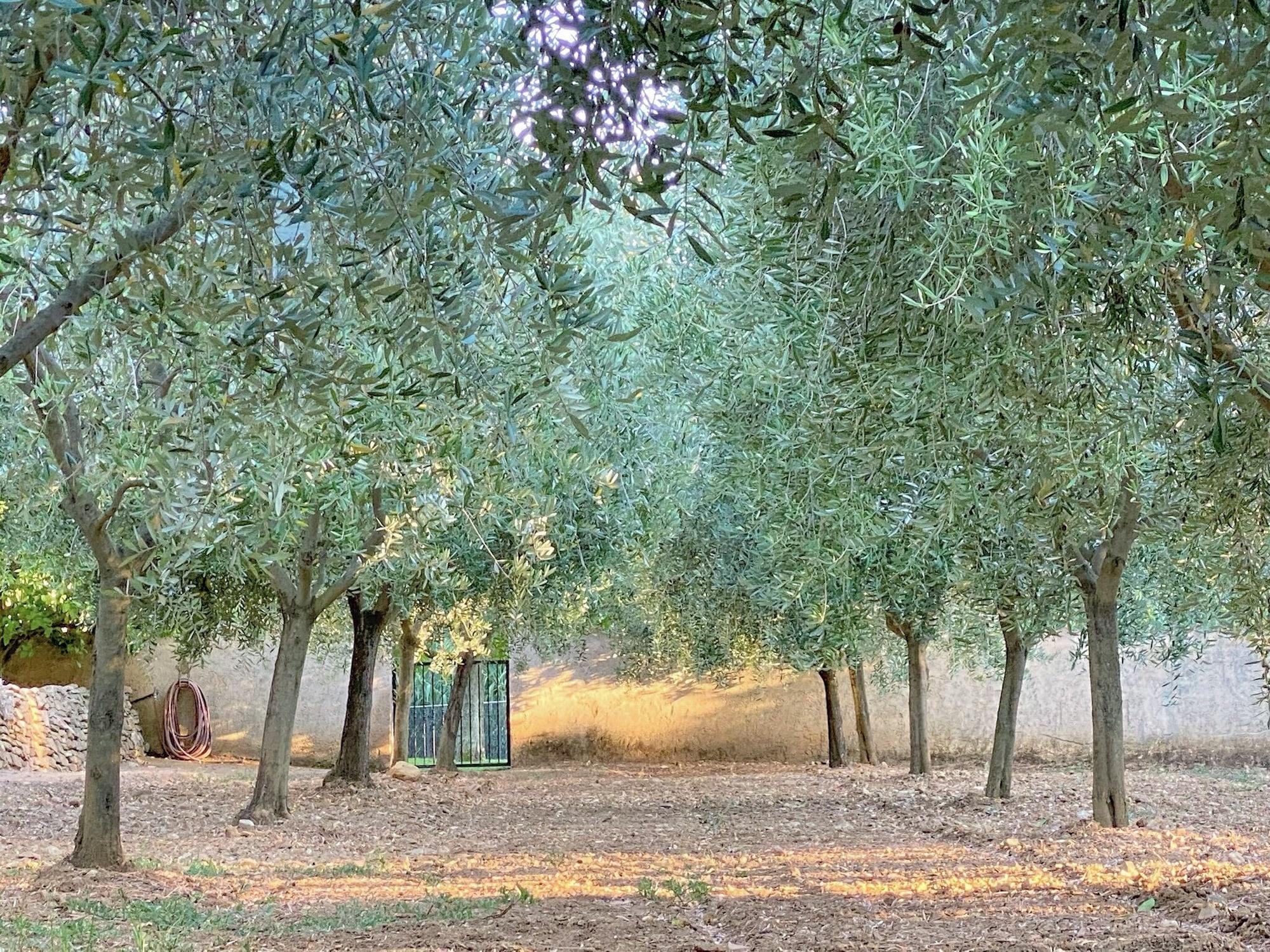 Vista Exterior Château de Valmer