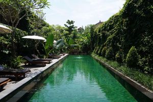 Alojamiento - Sapodilla Ubud