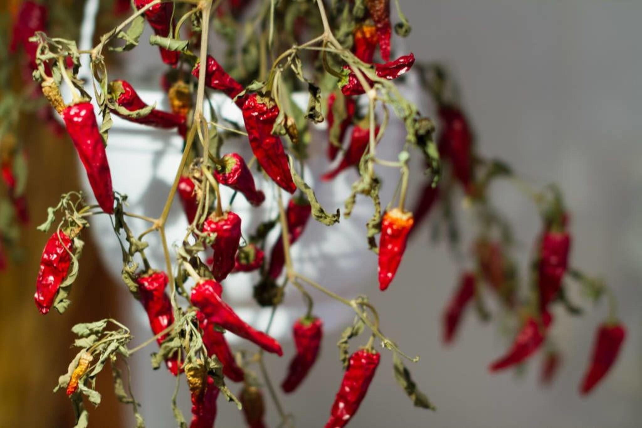 Vista Lobby Villa Virpi