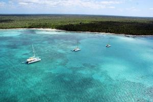 Actividad - Descubra la Isla Saona