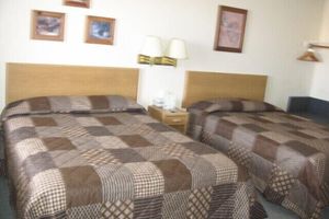 Alojamiento - Little Bear Motel