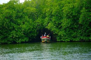 Actividad - Safari por el río Madhu - Excursión de día completo