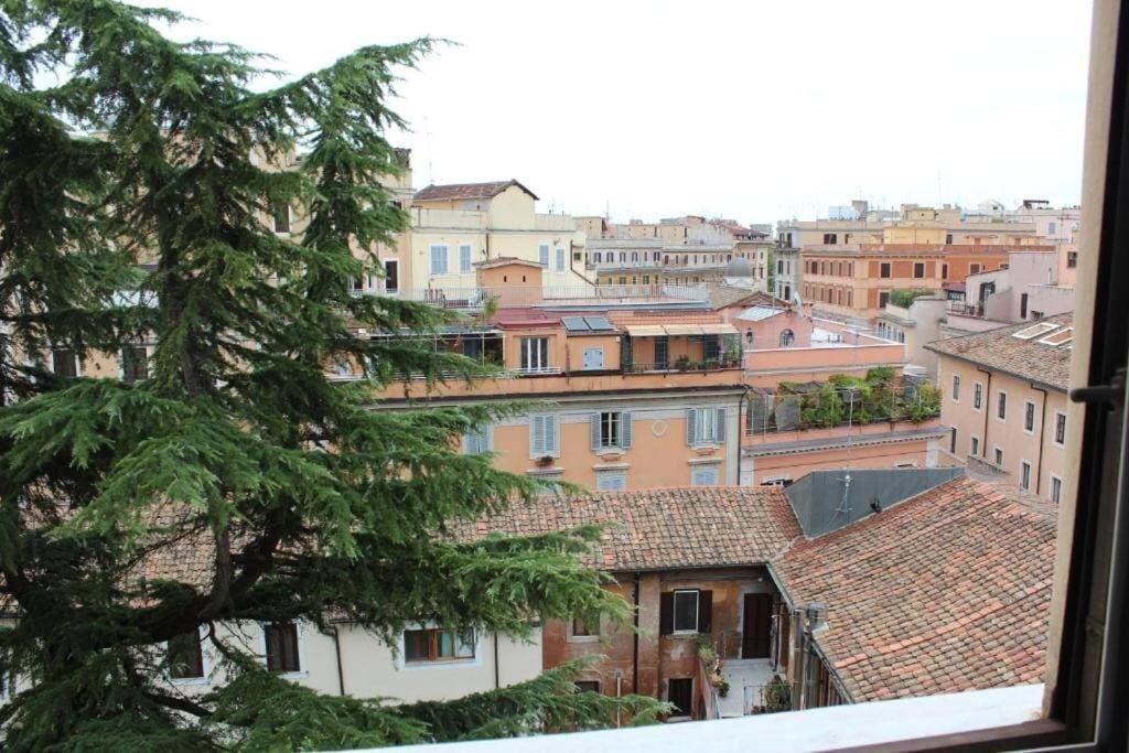 Varios Alfonso Guest House