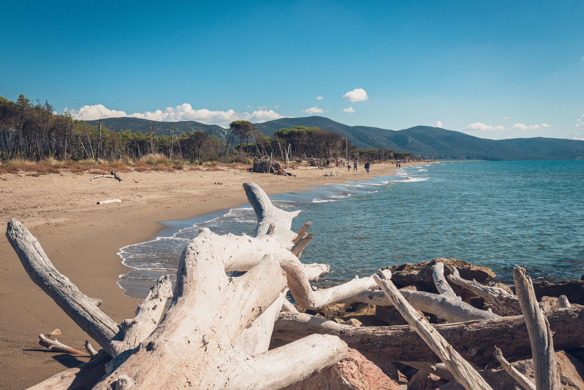 Playa Poggiolivi Agriturismo Bio in Maremma