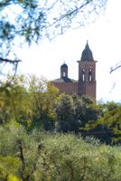 Alojamiento - Villa Scacciapensieri Boutique Hotel