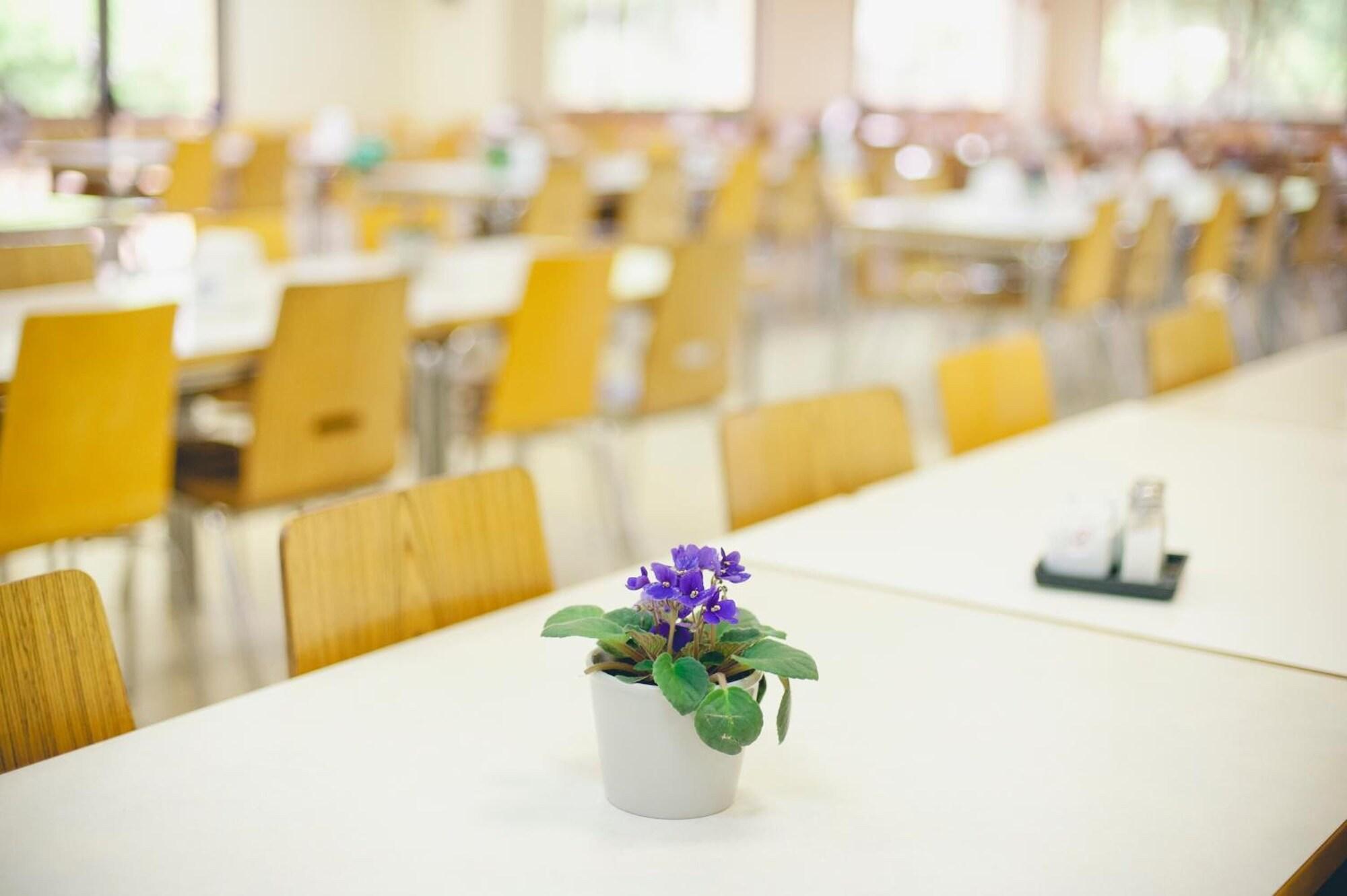 Sala de Reuniones Kibbutz Ortal Tourism
